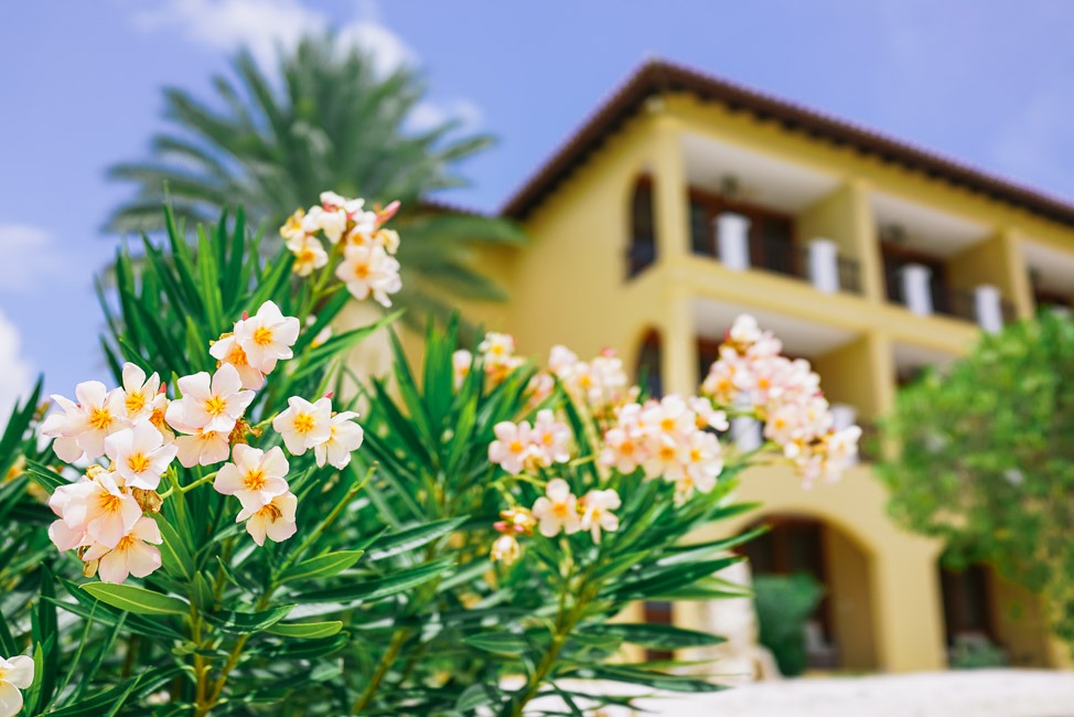 Birdie in Curaçao at Santa Barbara Resort