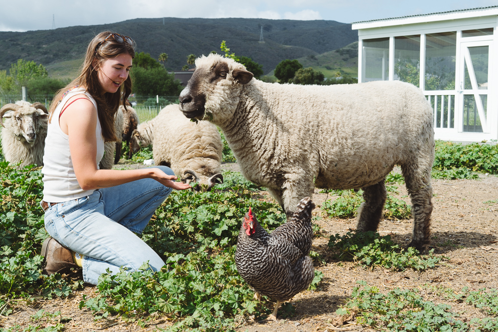 City Farm SLO by photographer Kirsten Alana