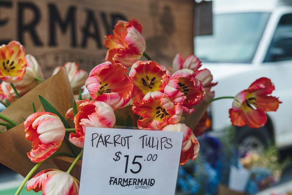 Tulips for sale in San Luis Obispo at the Thursday night Farmer's Market by photographer Kirsten Alana
